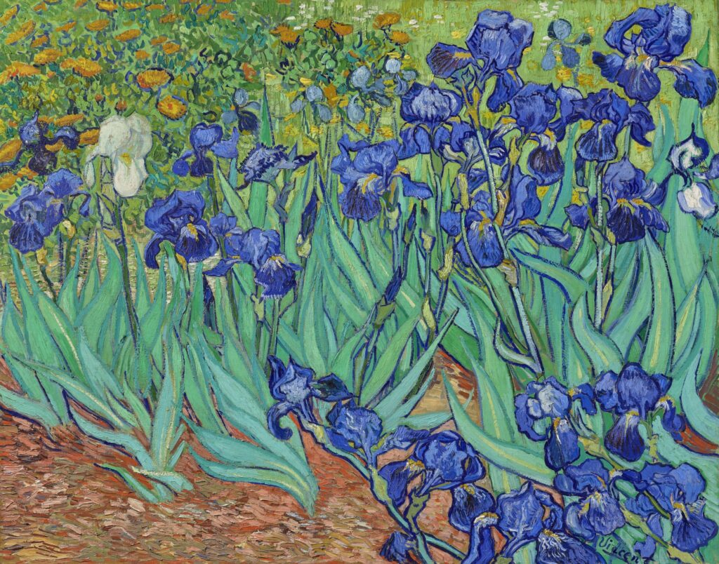 Irises Vincent van Gogh 1889 Post Impressionism painting