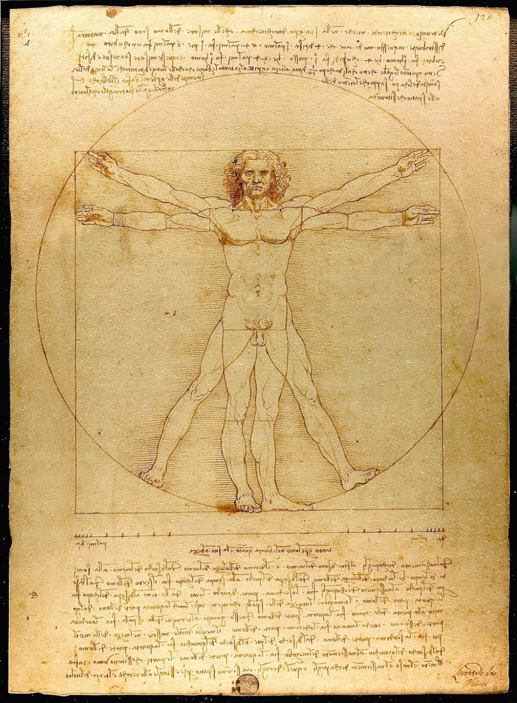 Vitruvian Man Leonardo da Vinci Renaissance human anatomy proportion drawing